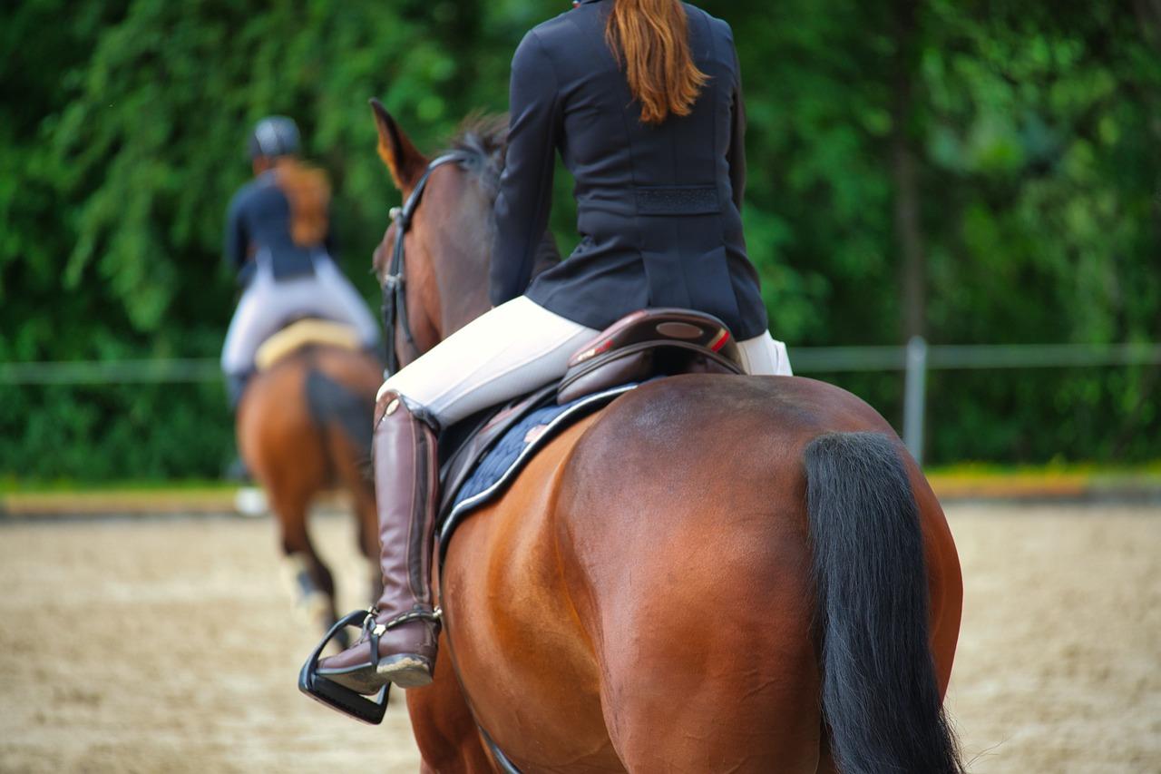 Manege in Delft